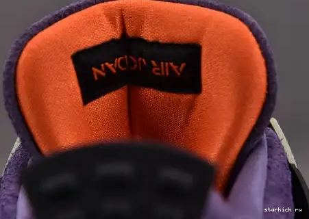 PURPLE” AIR AQ9129-500 JORDAN RETRO“CANYON AQ9129-500 4 0509